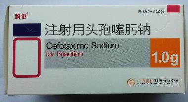 注射用头孢噻肟钠 1g 海口市制药厂有限公司
