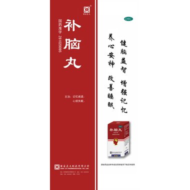 补脑丸（浓缩丸)