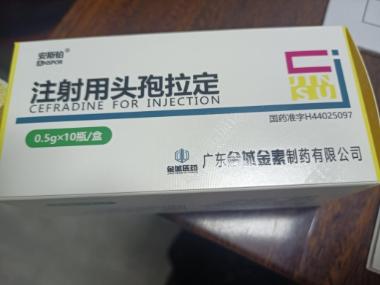 注射用头孢拉定 0.5g 国药集团致君（深圳）制药有限公司(原深圳致君