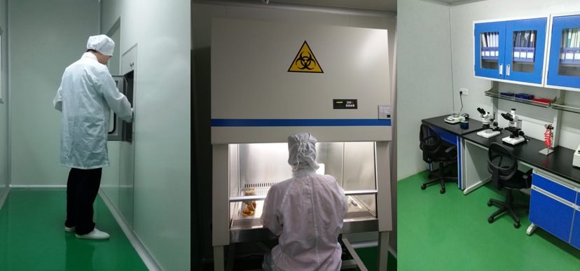 优选 硫软膏（铝管）套