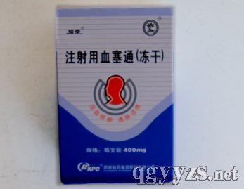 注射用血塞通（冻 100mg 哈尔滨珍宝制药有限公司