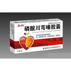 磷酸川芎嗪氯化钠 100ml:0.1g0.9g 石药银湖制药有限公司