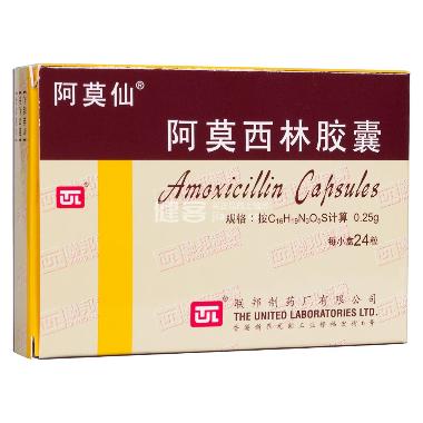 优选 阿莫西林胶囊（益