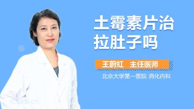 优选 消炎止痢灵片
