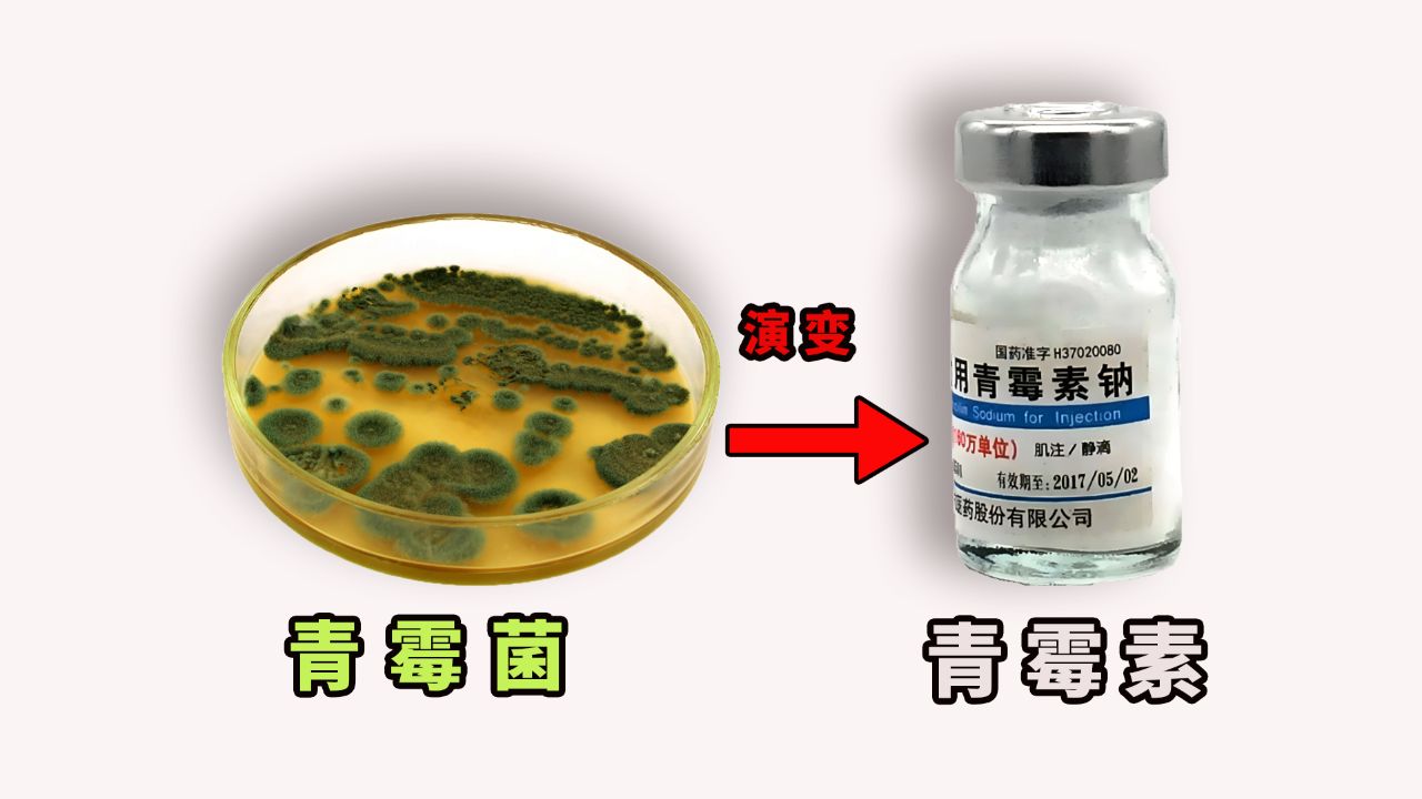 优选 庆大霉素普鲁卡因