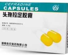 优选 头孢拉定胶囊