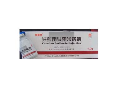 注射用头孢米诺钠 1g 国药集团国瑞药业有限公司