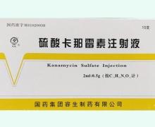 硫酸卡那霉素注射 2ml:0.5g10支 上海现代哈森(商丘)药业有限公司