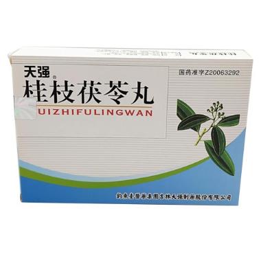 桂枝茯苓丸 6g*10丸 天圣制药集团山西有限公司