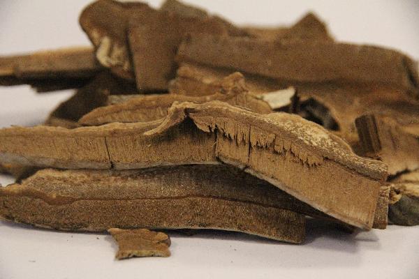 优选 盐酸丙卡特罗口服