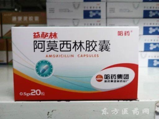 优选 阿莫西林胶囊