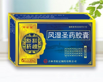 优选 风湿圣药胶囊
