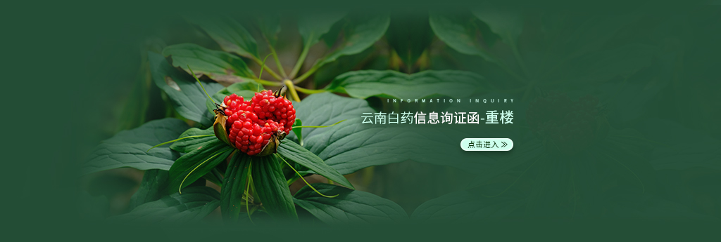 优选 云南白药