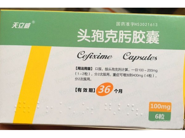 优选 头孢克肟胶囊