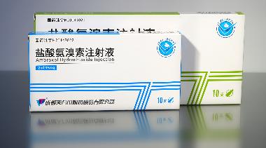 盐酸氨溴索注射液