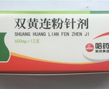 优选 双黄连粉针剂