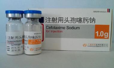 注射用头孢噻肟钠 0.5g*10支 山东鲁抗医药股份有限公司