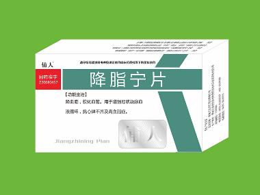 降脂宁颗粒 10g*9袋 吉林省银诺克药业有限公司