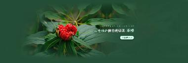 优选 云南白药