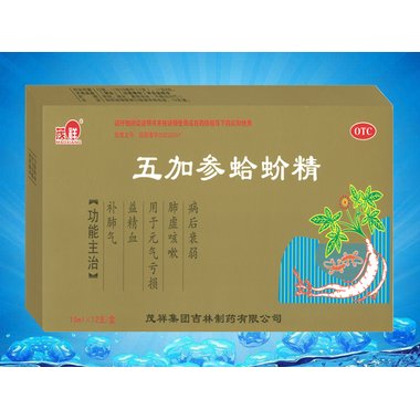 五加参蛤蚧精