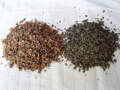 优选 复方罗布麻片I