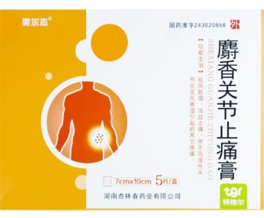 麝香关节止痛膏 7cm*10cm*5片*2袋 湖南杏林春药业有限公司