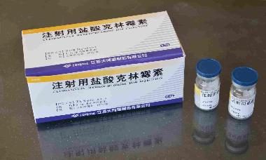 注射用盐酸克林霉 0.3g 北京朋来制药有限公司