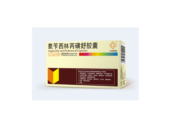 优选 氨苄西林丙磺舒胶