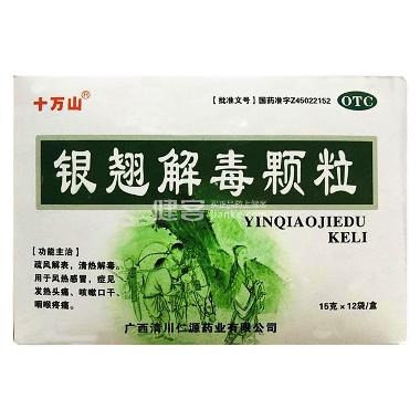 银翘解毒颗粒 15g*12袋 四川泰乐制药有限公司