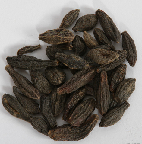 优选 西青果颗粒