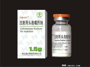 注射用头孢噻肟钠 1g 湖南科伦制药有限公司