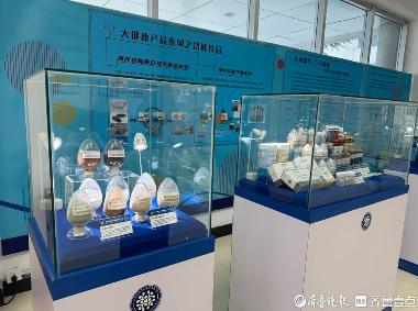 优选 海洋胃药