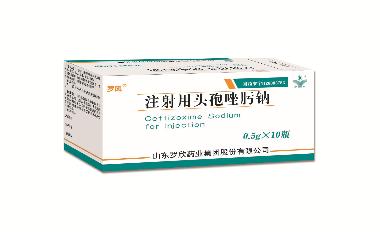 注射用头孢唑肟钠 0.5g 汕头金石粉针剂有限公司