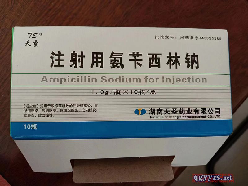 优选 注射用氨苄西林钠