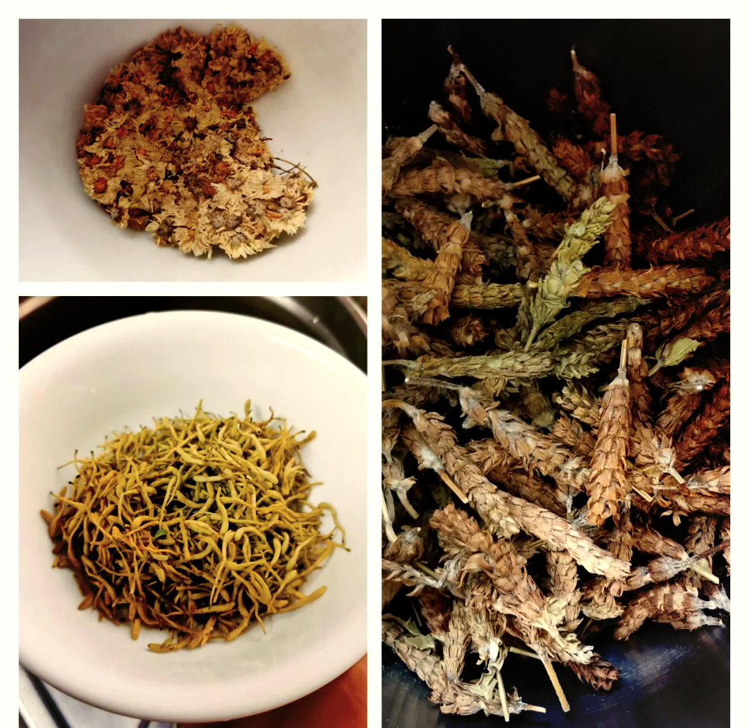 优选 桑叶菊花凉茶植物