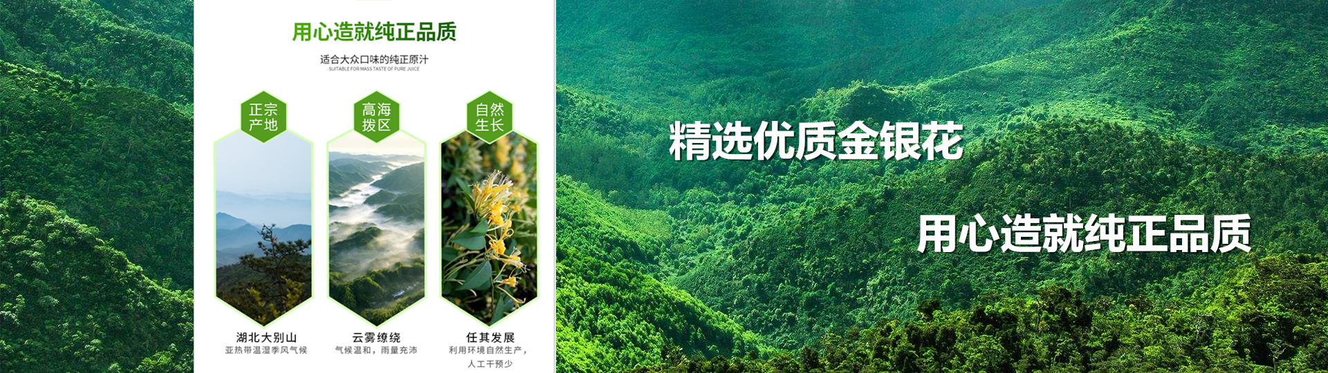 优选 金银花露(含糖型