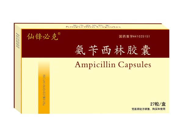 优选 氨苄西林胶囊