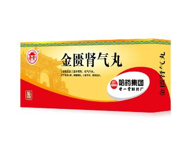 金匮肾气丸 5g*10袋 天津天士力（辽宁）制药有限责任公司