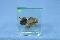 优选 异烟肼注射液