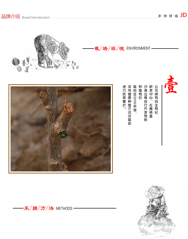 优选 宁夏枸杞代用茶