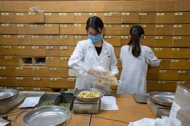 优选 刺五加颗粒