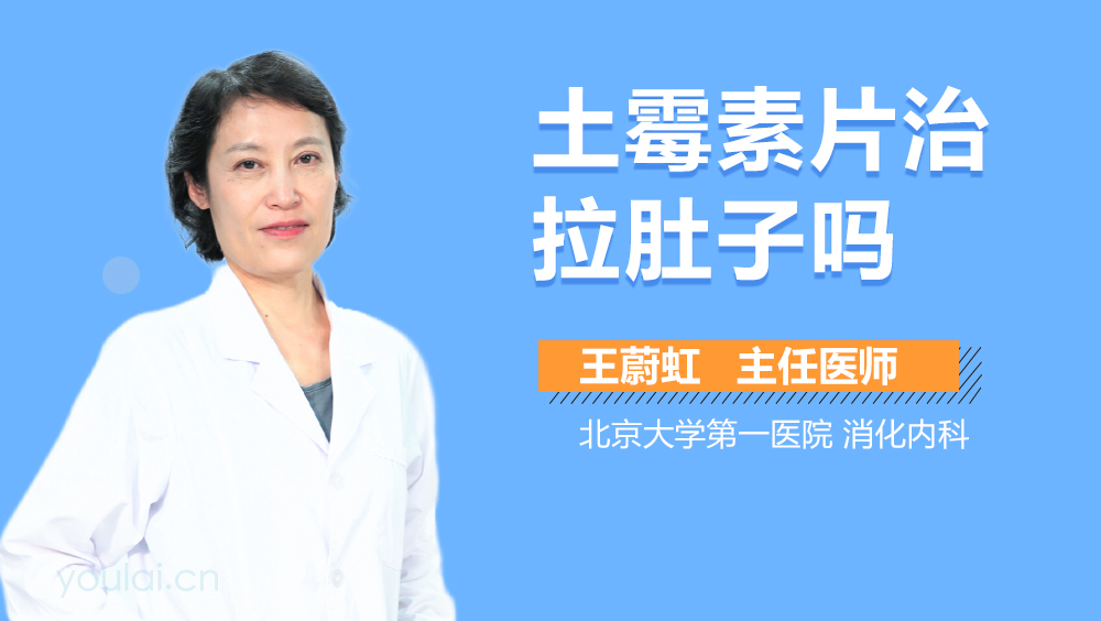 优选 消炎止痢灵片