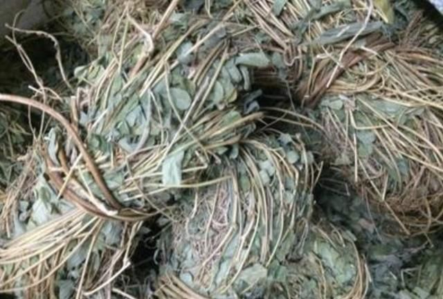 优选 鸡骨草片(套盒）