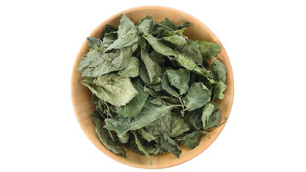 优选 绞股蓝总苷胶囊