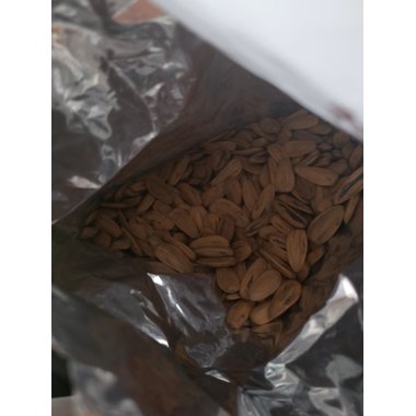 复方瓜子金颗粒