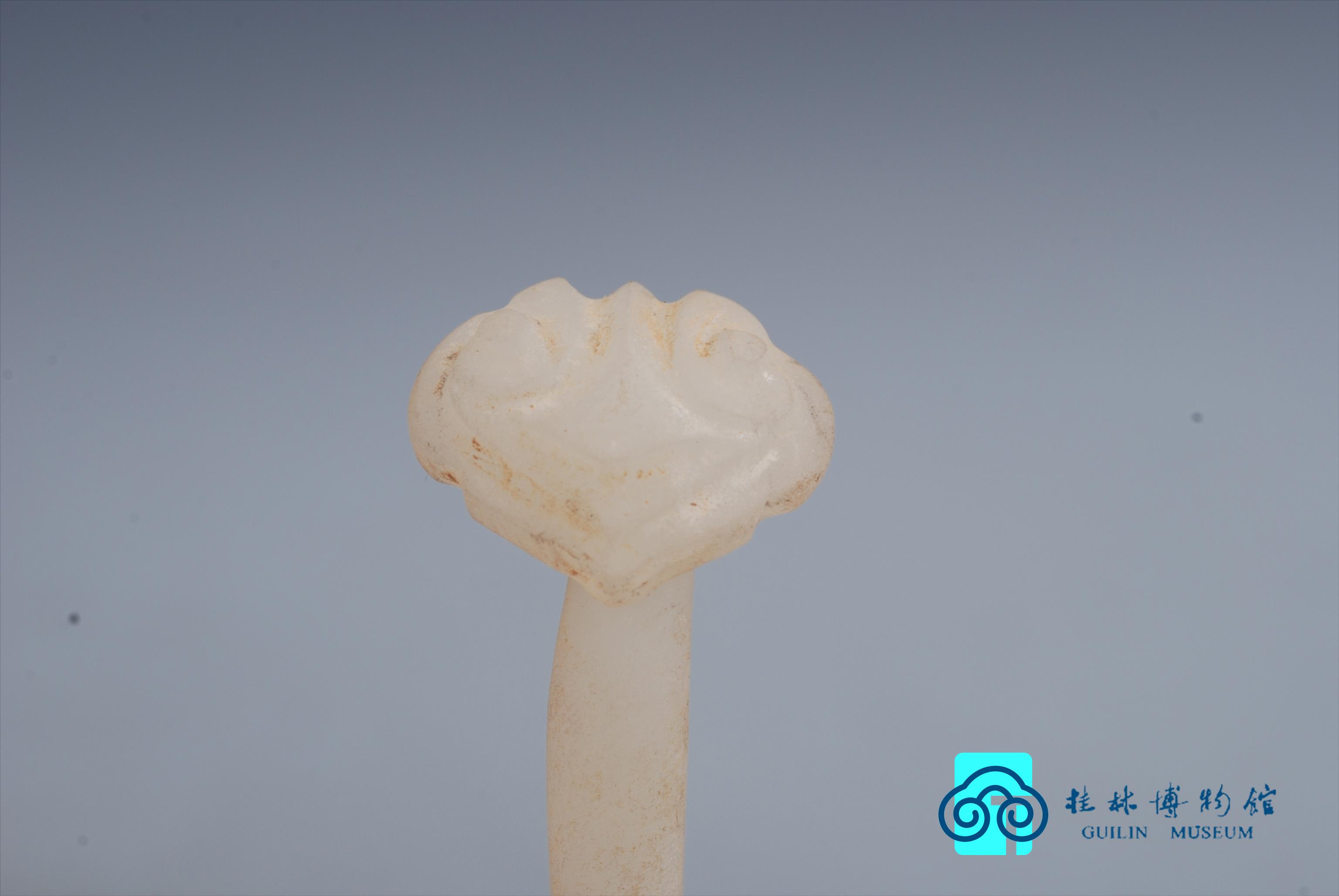 优选 玉簪清咽十五味丸