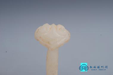 玉簪清咽十五味丸 10g*3瓶 阜新蒙药有限责任公司