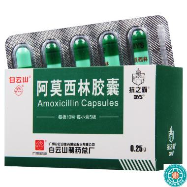 阿莫西林胶囊(双 0.25g*11s*2板 中山市力恩普制药有限公司