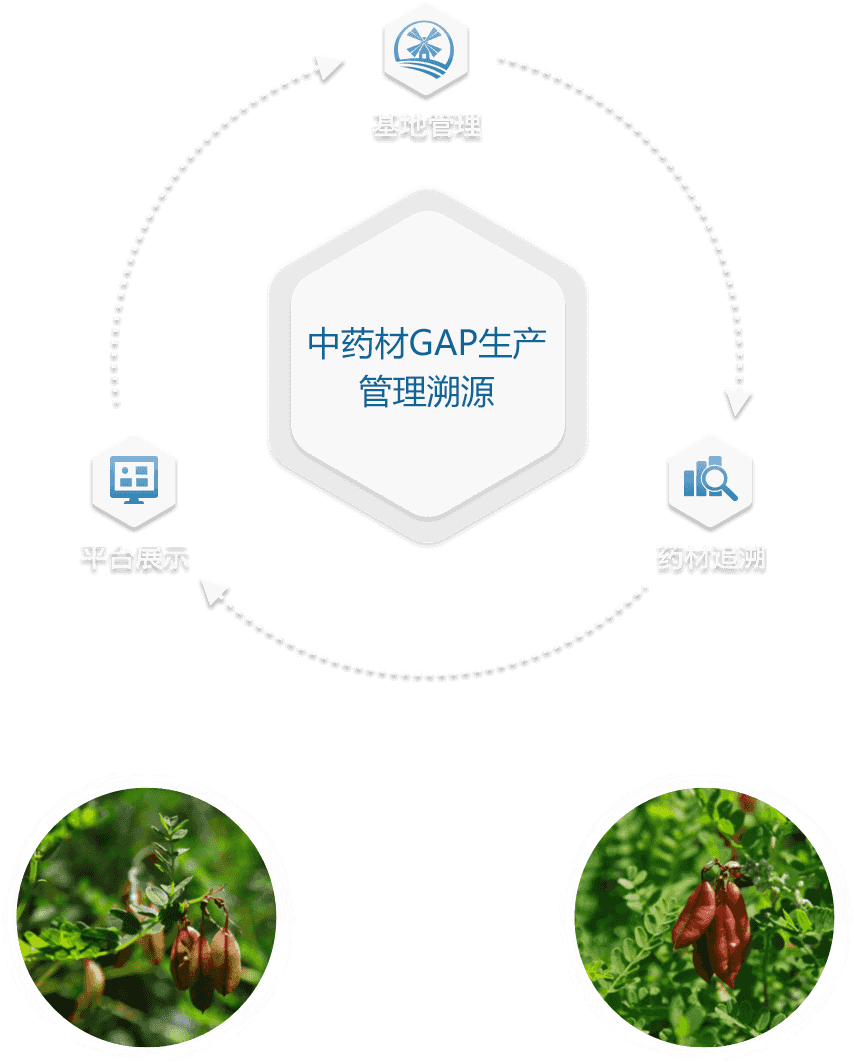 优选 血塞通注射液