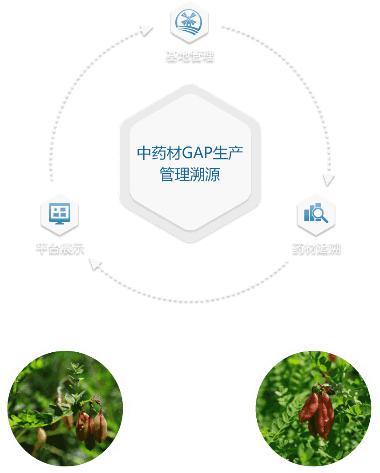优选 血塞通注射液